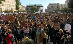&quot;Protest Tysiąca Miast&quot; w Poznaniu 