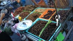 Duży wybór owadów proponuje kuchnia azjatycka