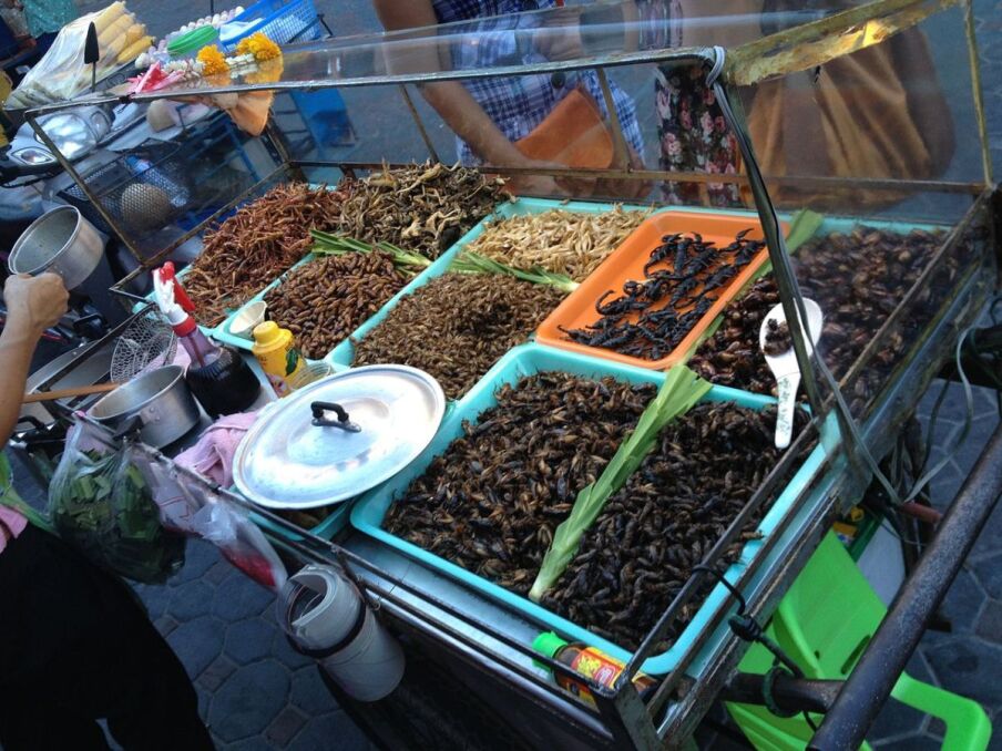 Duży wybór owadów proponuje kuchnia azjatycka