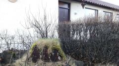 Domki dla elfów w ogródkach Hvolsvöllur
