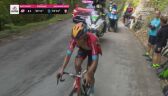Kluczowy moment 17. etapu Giro. Buitrago dogania Leemreize