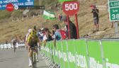 Finisz Roglicia i Evenepoela na 15. etapie Vuelta a Espana