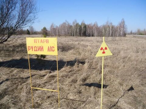 26.04 | 29 rocznica katastrofy w Czarnobylu