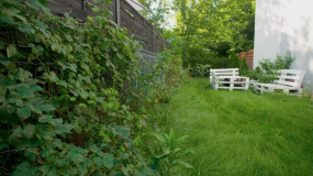Polowanie na ogród: Dominik odmieni długi i wąski ogród Marzeny oraz jej nastoletniego syna 